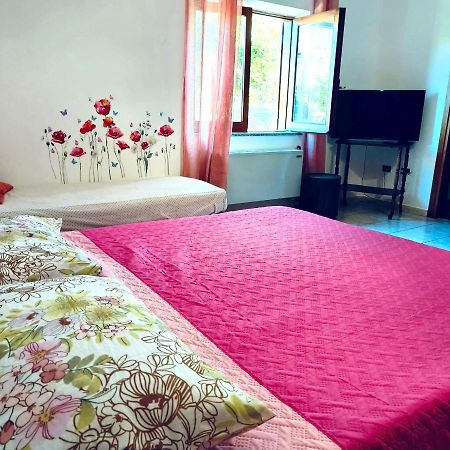 Casa Dei Giunchi Hotel Olbia Buitenkant foto